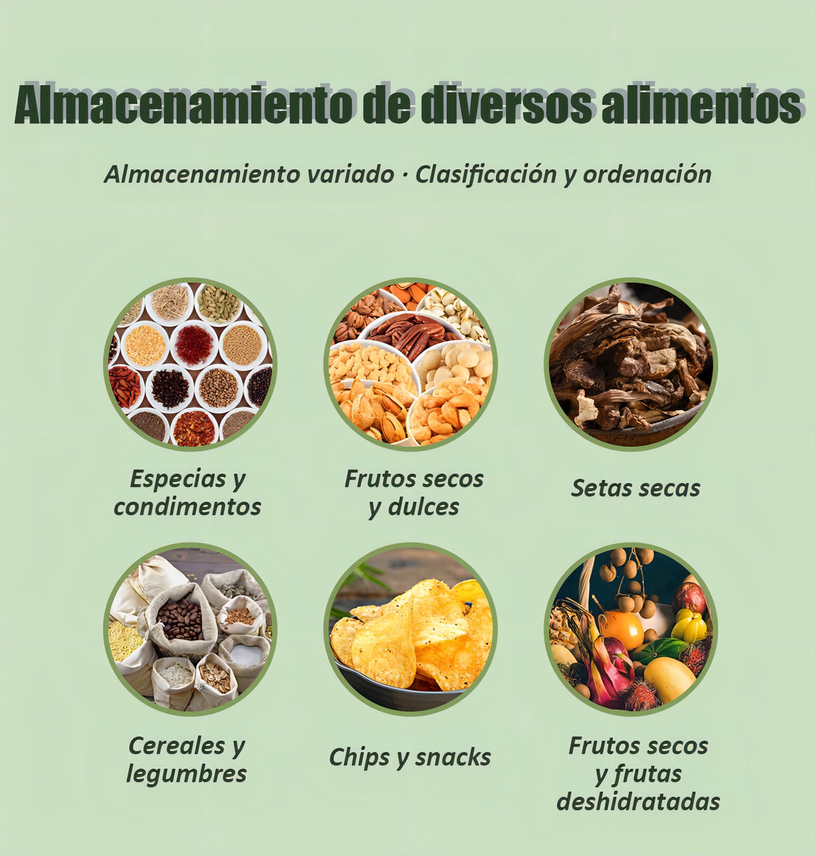 3 Frascos Herméticos Plástico Verde Oscuro Con Calendario