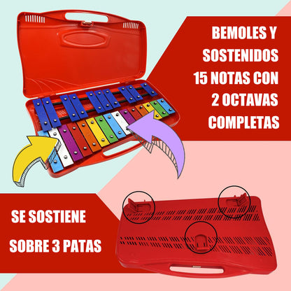 Metalófono Escolares Cromático Percusión 25 Notas 4 Colores