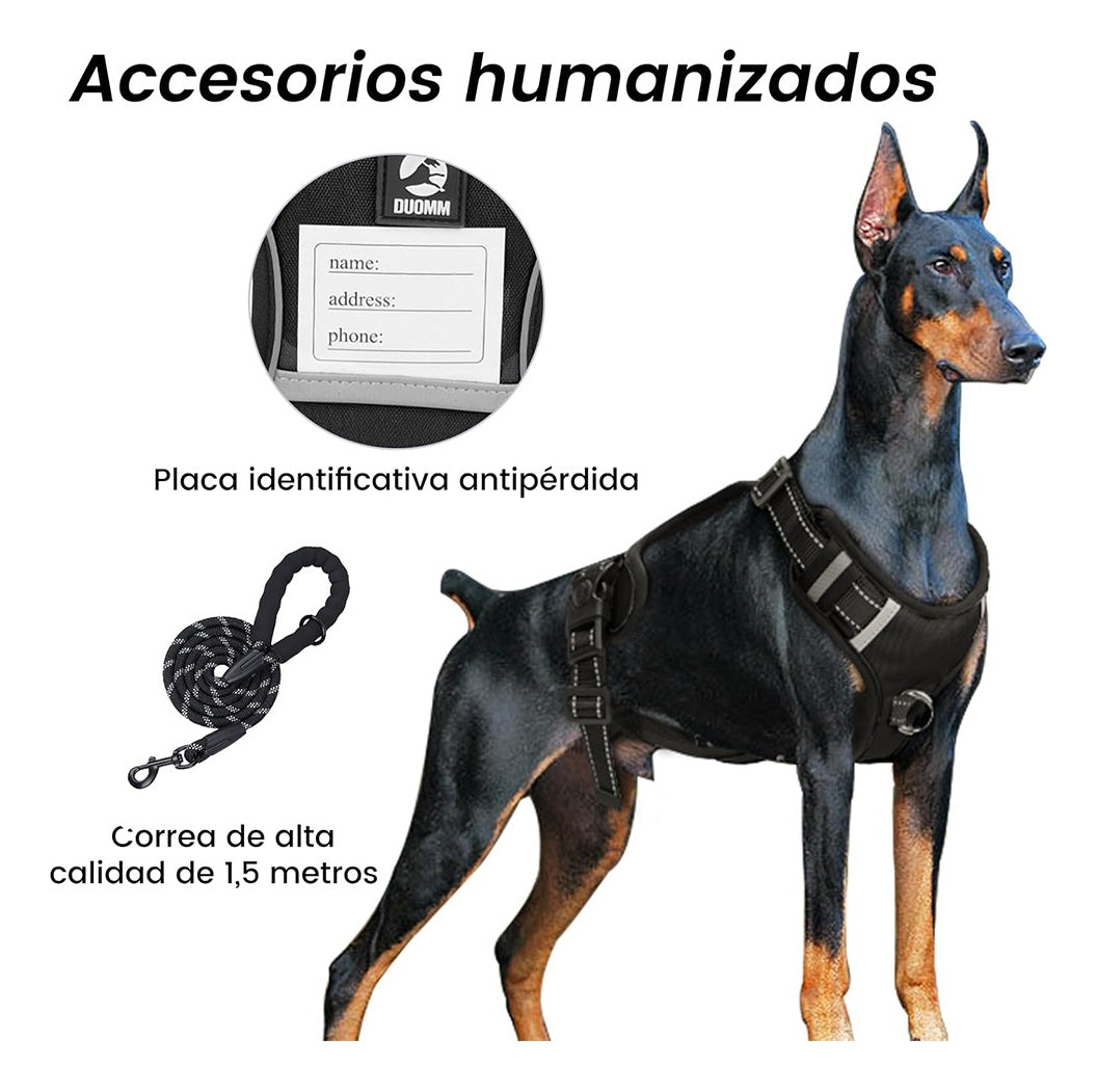Arnés Led Reflectante Para Perro Correa 1.5m Ajustable Paseo