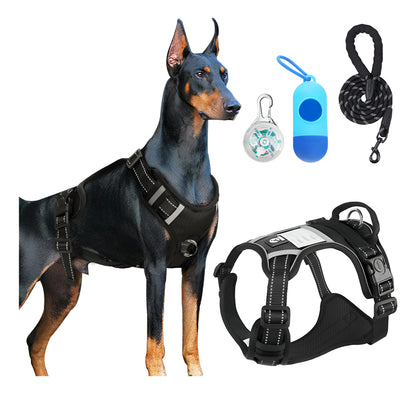 Arnés Led Reflectante Para Perro Correa 1.5m Ajustable Paseo