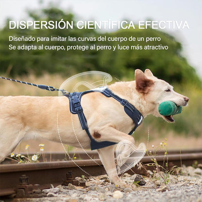 Arnés Led Reflectante Para Perro Correa 1.5m Ajustable Paseo