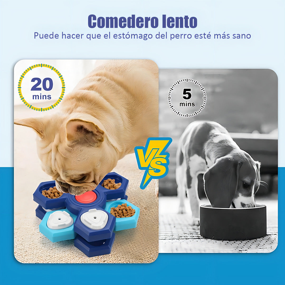 Comedero Lento Para Perros Ajustable 3capas Dispensador De Comida Lento Color Azul Acero Hoso