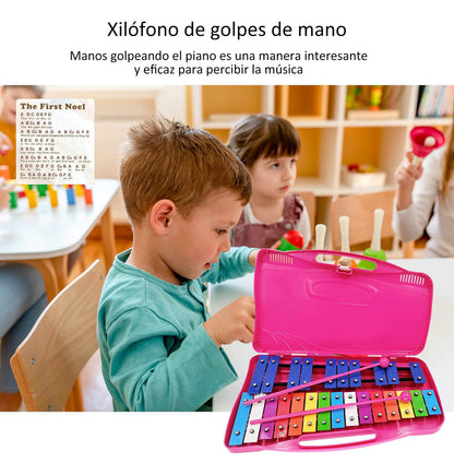 Metalófono Escolares Cromático Percusión 25 Notas 4 Colores