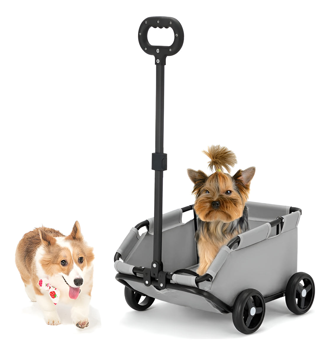 Coche Transporte Gato Perro Plegable Mascota Cómodo Aventura