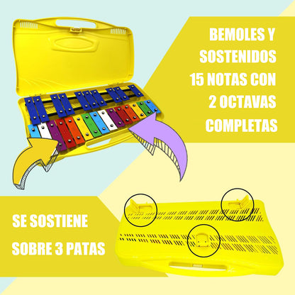 Metalófono Escolares Cromático Percusión 25 Notas 4 Colores