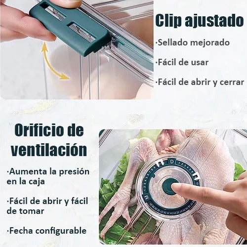 3 Frascos Herméticos Plástico Verde Oscuro Con Calendario