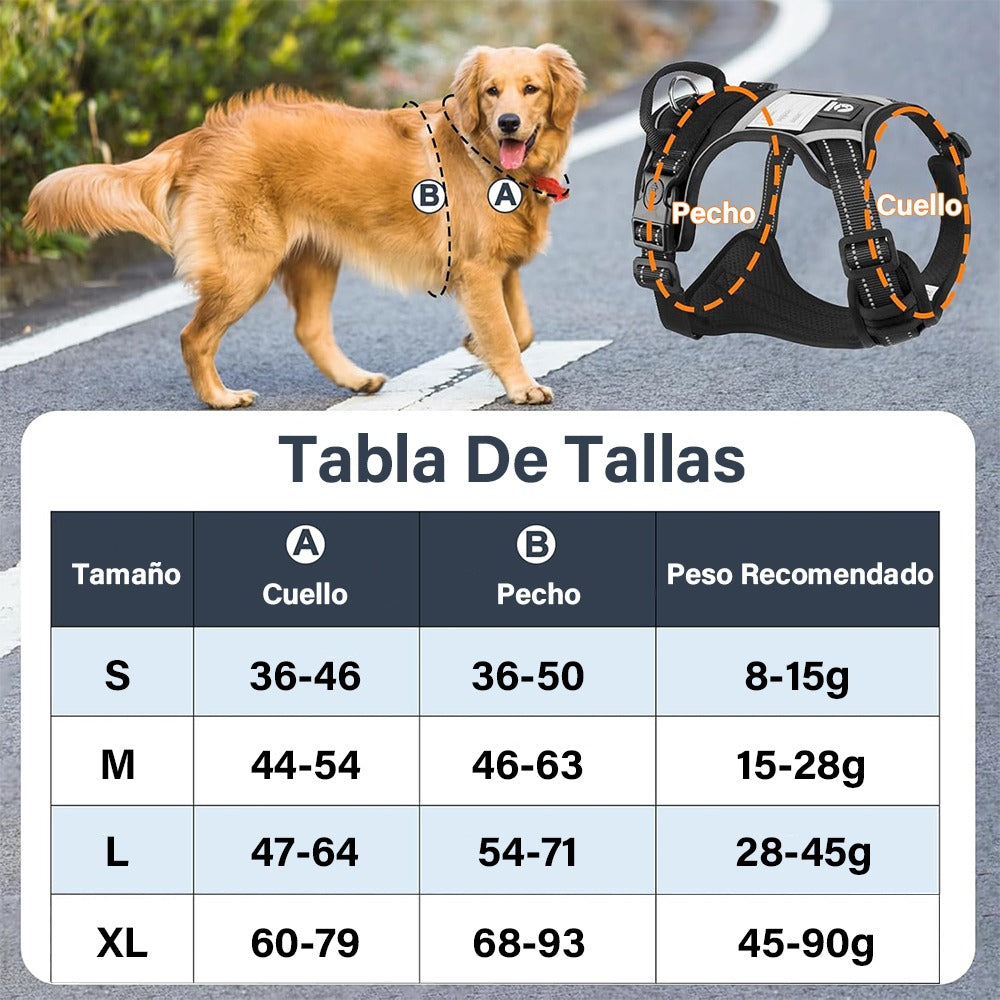 Arnés Led Reflectante Para Perro Correa 1.5m Ajustable Paseo
