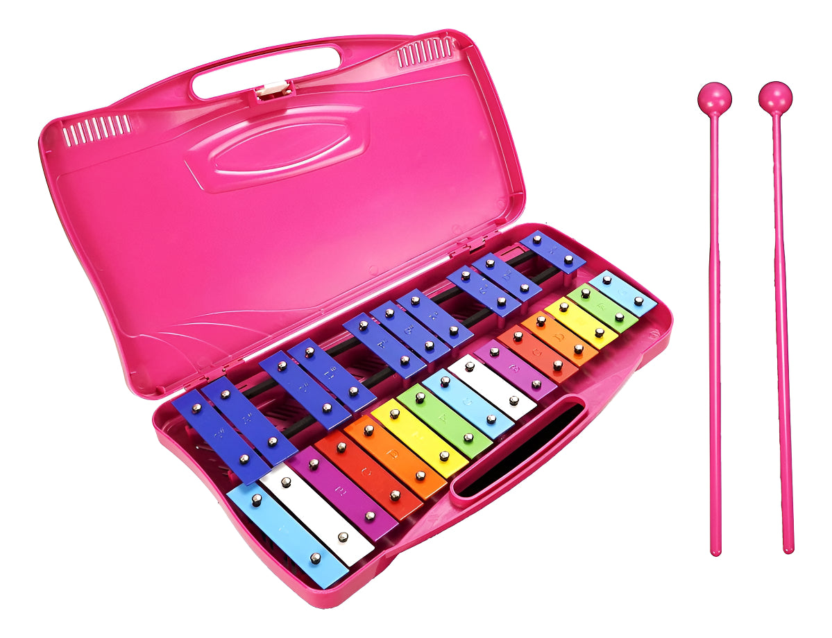 Metalófono Escolares Cromático Percusión 25 Notas 4 Colores