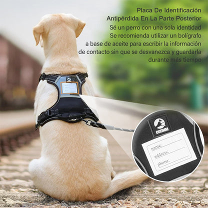 Arnés Led Reflectante Para Perro Correa 1.5m Ajustable Paseo