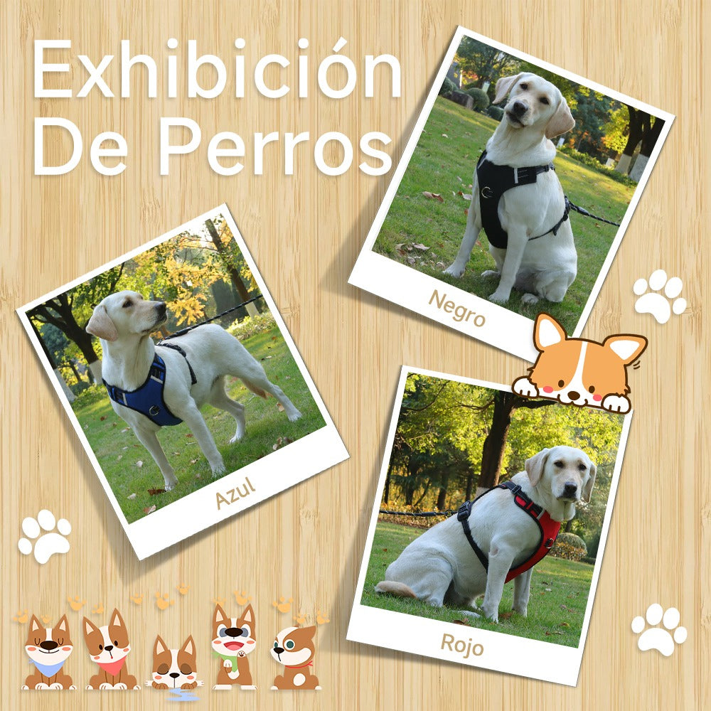 Arnés Led Reflectante Para Perro Correa 1.5m Ajustable Paseo