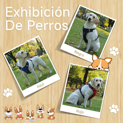 Arnés Led Reflectante Para Perro Correa 1.5m Ajustable Paseo
